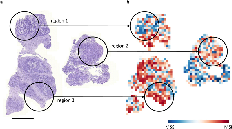 Extended Data Figure 3